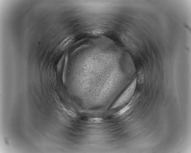 X0000098070140200804181143