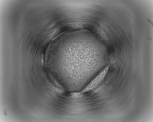 X0000098070141200804181142