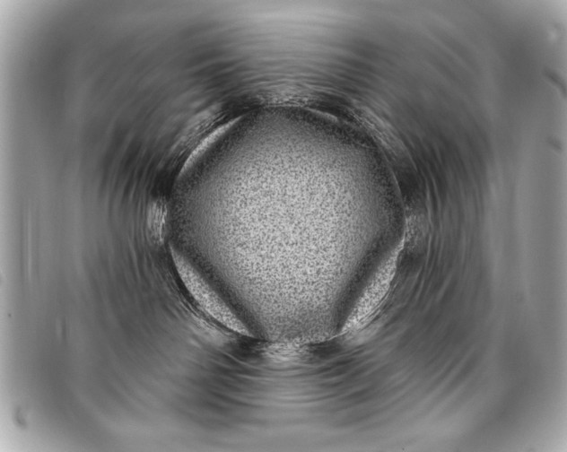 X0000098070142200804181142