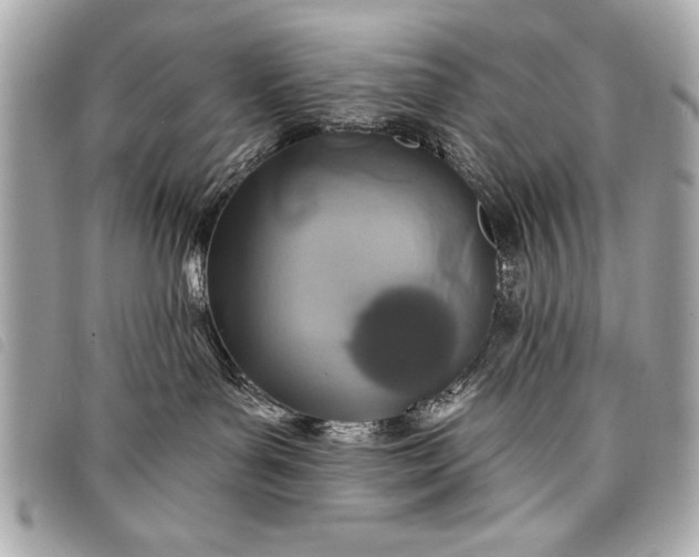 X0000098070143200804181142