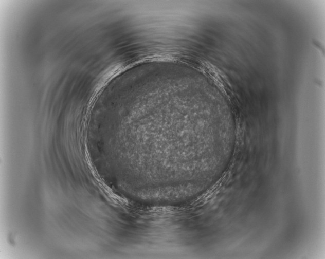 X0000098070145200804181142