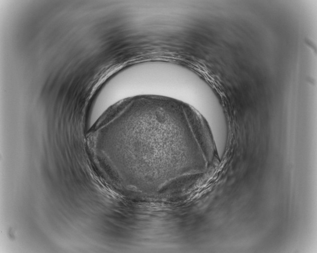 X0000098070146200804181142