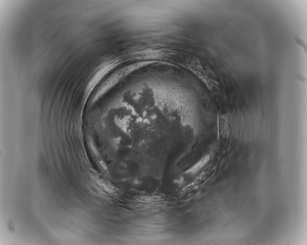 X0000098070147200804181142