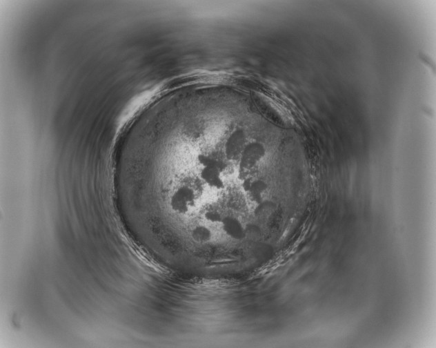 X0000098070149200804181142