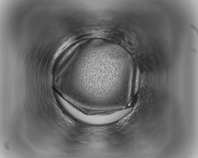 X0000098070150200804181142