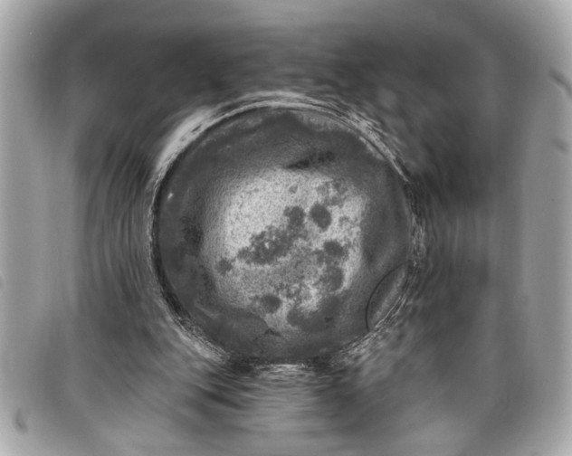 X0000098070151200804181142