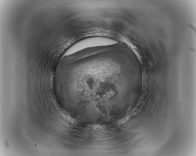 X0000098070153200804181142