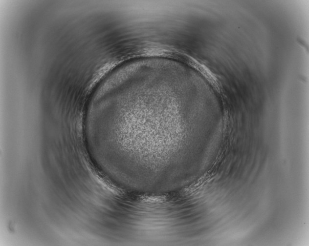 X0000098070155200804181142