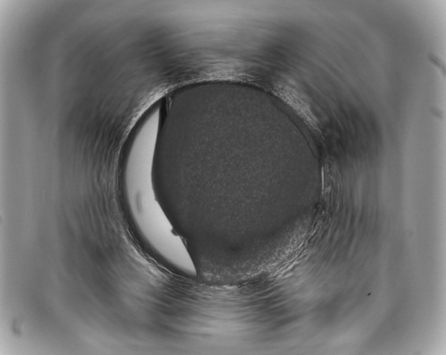 X0000098070156200804181142