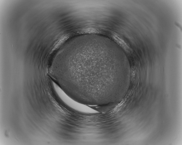 X0000098070158200804181142