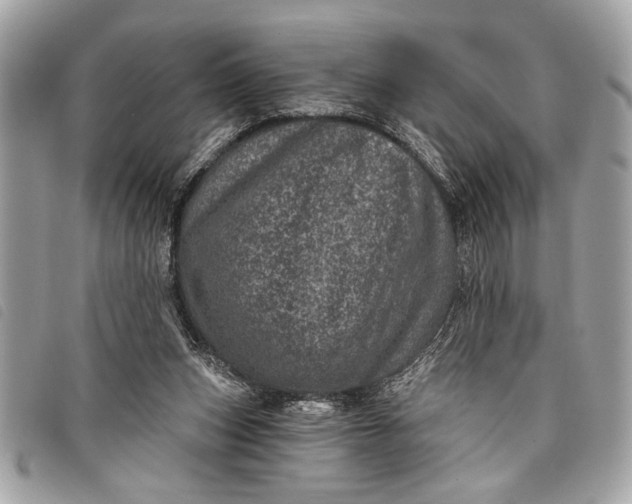 X0000098070159200804181142