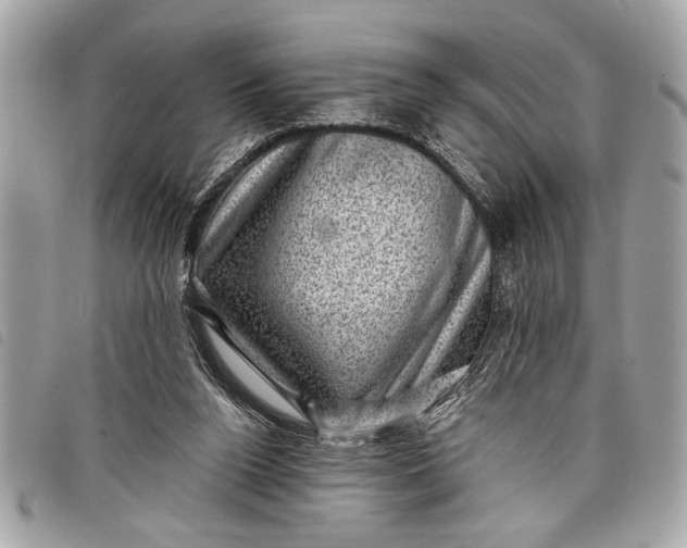 X0000098070160200804181142