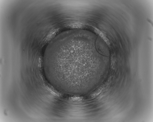 X0000098070161200804181142