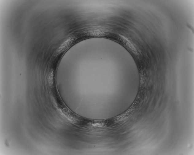 X0000098070163200804181142