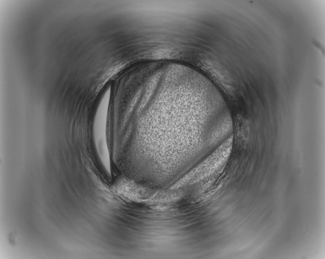 X0000098070164200804181142