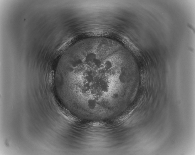 X0000098070165200804181142