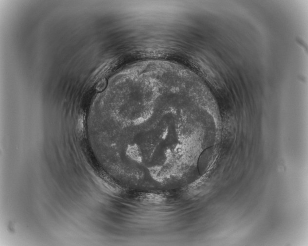 X0000098070166200804181142