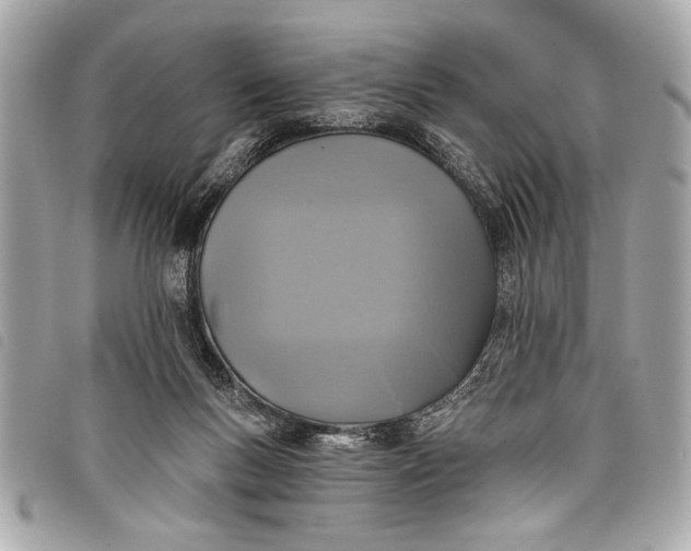 X0000098070167200804181142