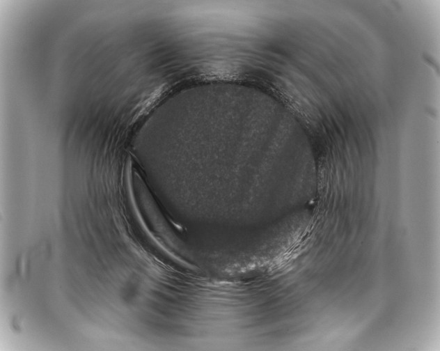 X0000098070168200804181142