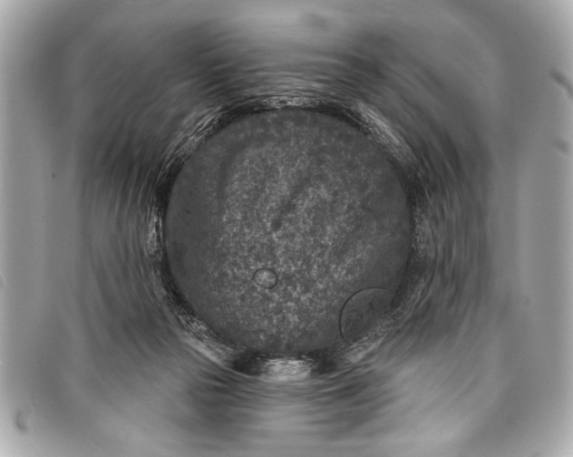 X0000098070169200804181142