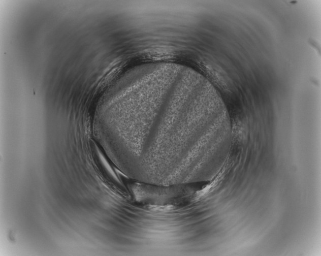 X0000098070170200804181142