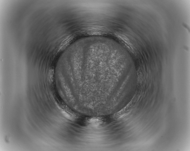 X0000098070171200804181142