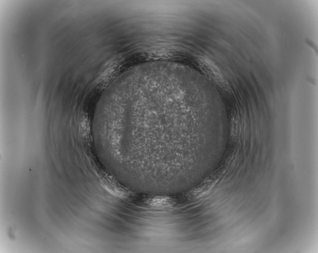 X0000098070173200804181142