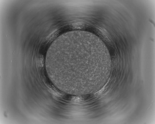 X0000098070174200804181142