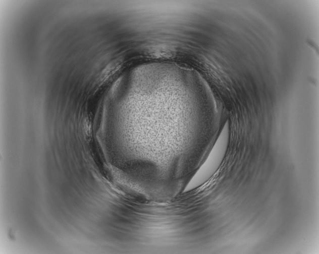 X0000098070176200804181142