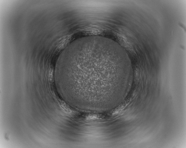 X0000098070177200804181142