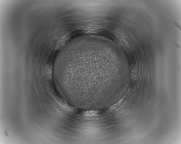 X0000098070179200804181142