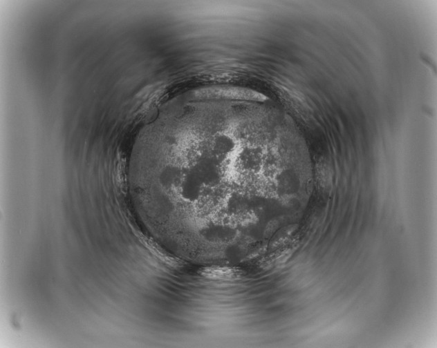 X0000098070181200804181142