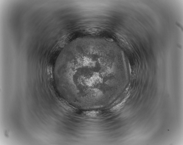 X0000098070182200804181142