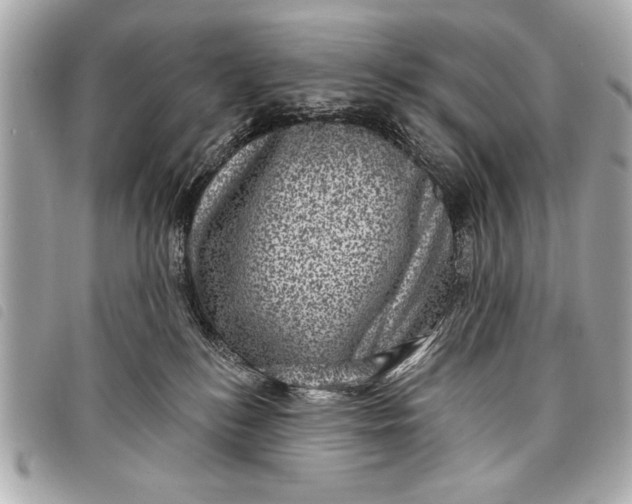 X0000098070184200804181142