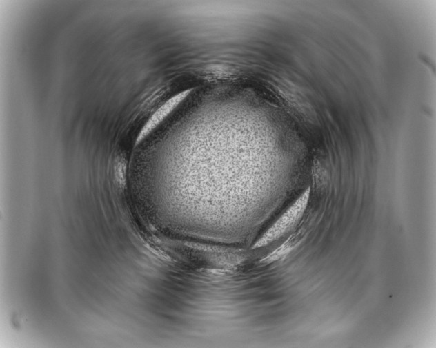 X0000098070188200804181142