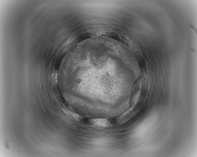 X0000098070191200804181142