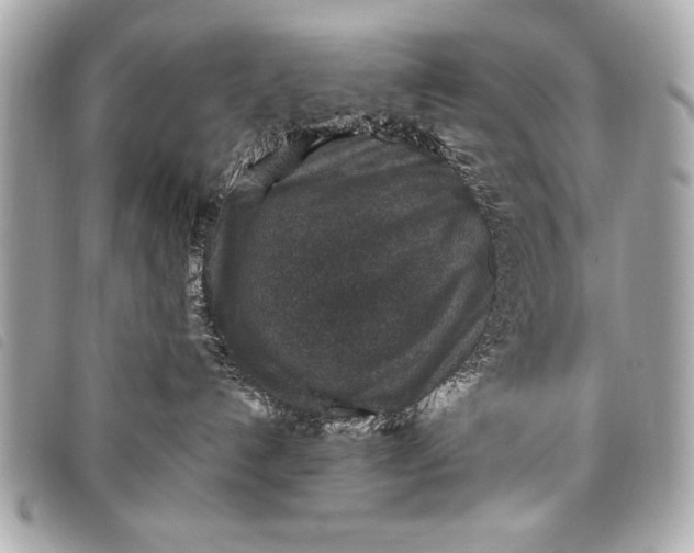 X0000098070192200804181142