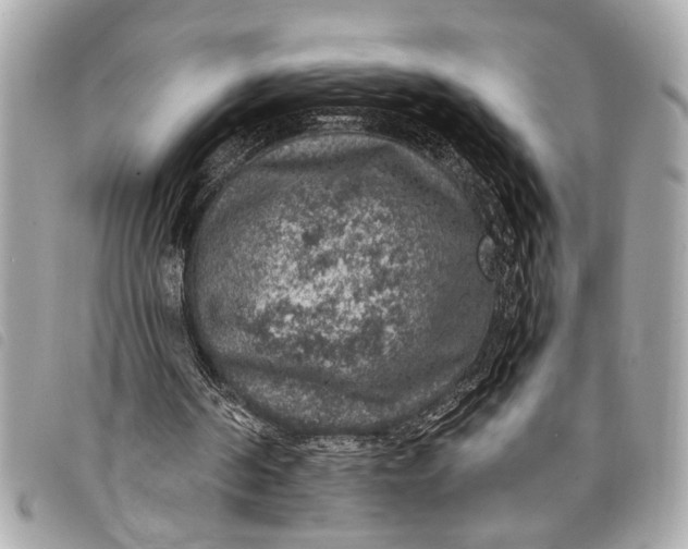 X0000098070194200804181142