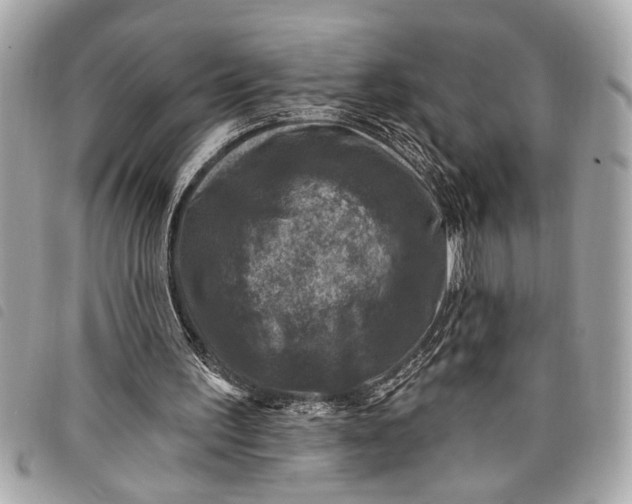 X0000098070195200804181142