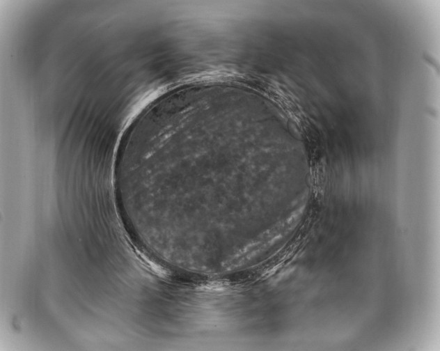 X0000098070196200804181142