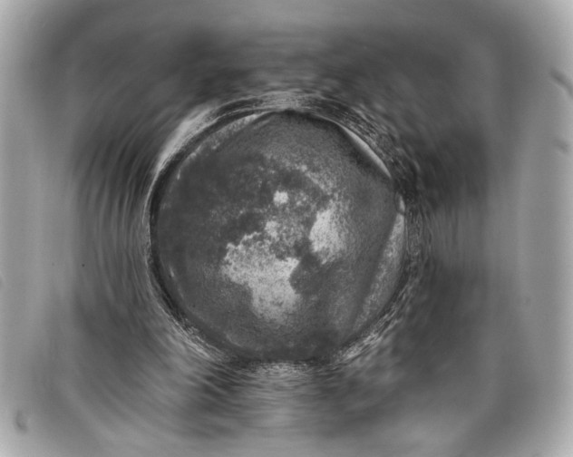 X0000098070198200804181142