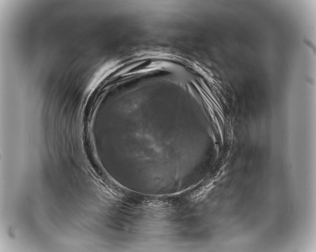 X0000098070199200804181142