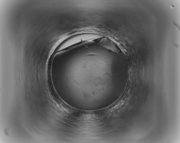 X0000098070200200804181142