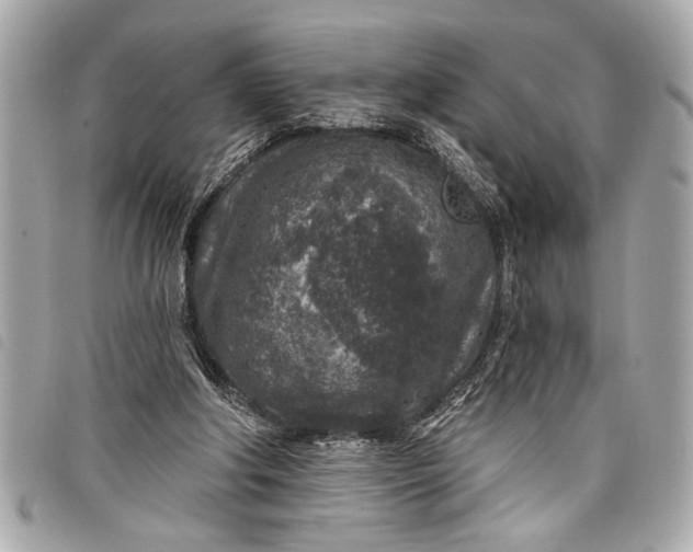 X0000098070202200804181141