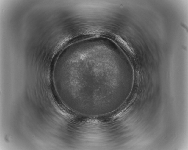 X0000098070203200804181141