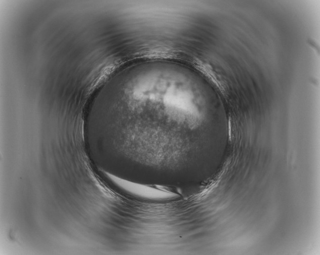 X0000098070205200804181141