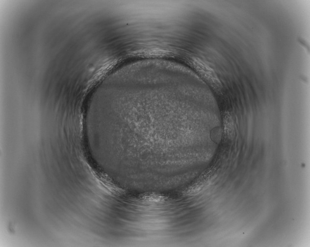 X0000098070206200804181141