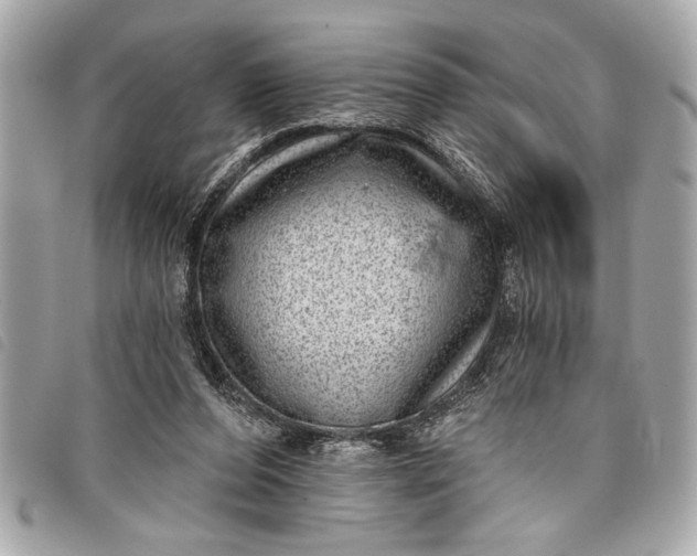 X0000098070208200804181141