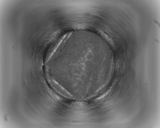 X0000098070209200804181141