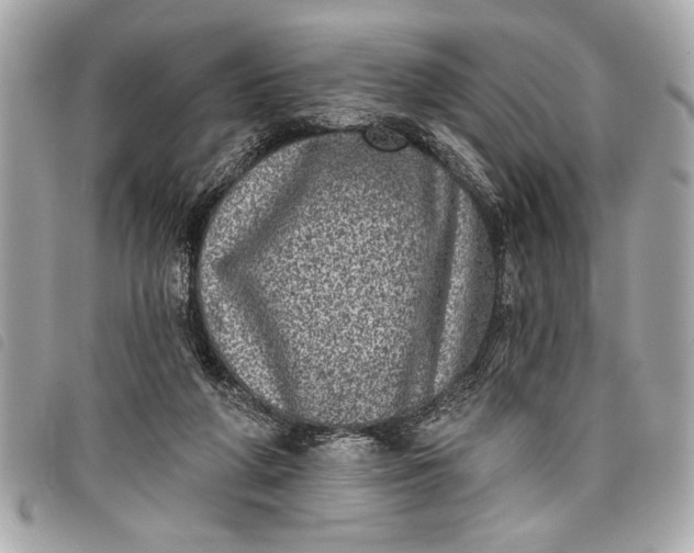 X0000098070210200804181141